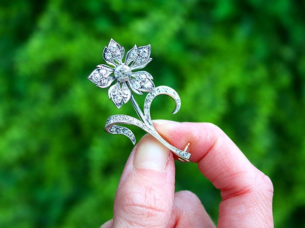 Exploring Nature - Inspired Diamond Brooch Designs