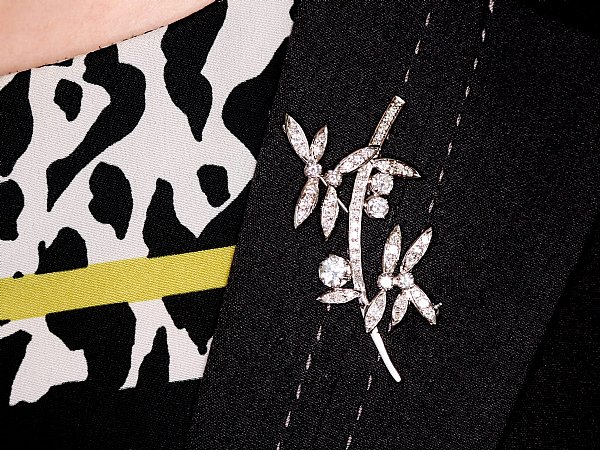 diamond brooch on collar